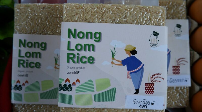 ื์Nonglom rice ข้าวหอมมะลิป่าต้นน้ำห้วยร่องสัก